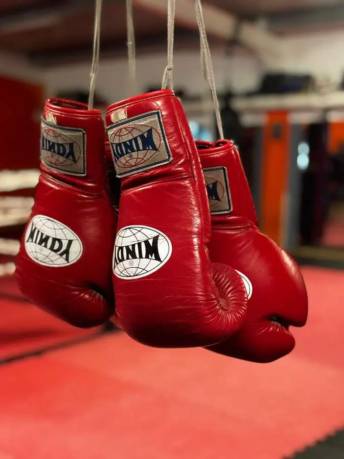 Guantes Muay Thai